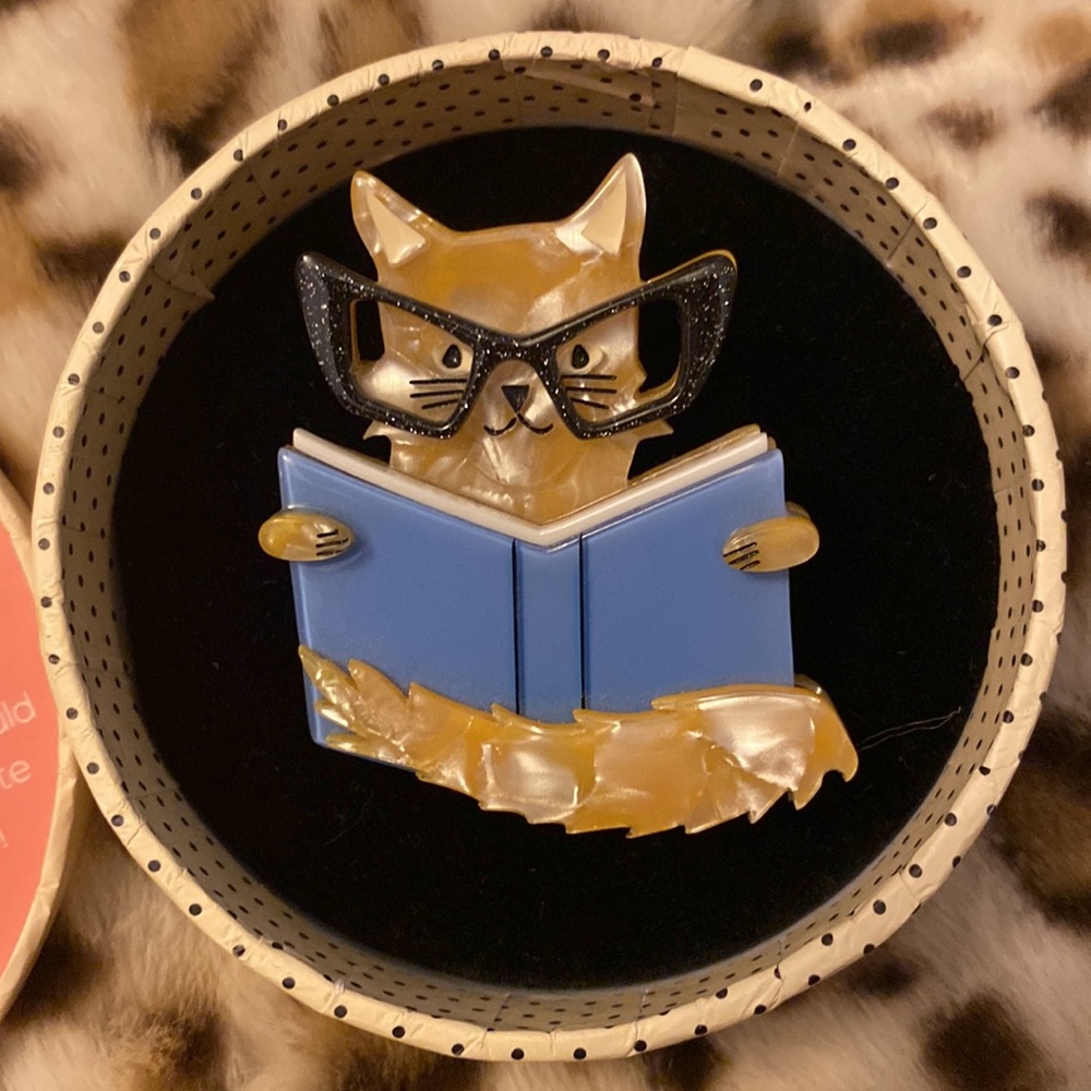 Original Erstwilder Puss in Books Brooch, New in Box